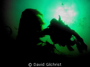 Diver silhouette, Niagara River by David Gilchrist 